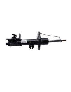 Right Front Shock Absorber Assembly. BYD-Seagull