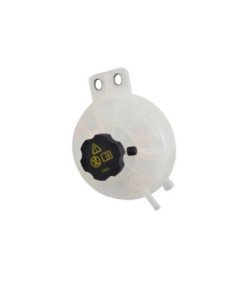 Coolant Reservoir Assembly I. BYD-DOLPHIN