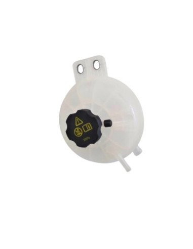 Coolant Reservoir Assembly I. BYD-DOLPHIN