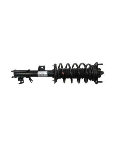 Right Front Shock Absorber Strut Assembly. BYD-DOLPHIN