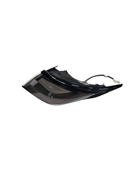 Right Rear Combination Lamp Assembly. BYD-DOLPHIN
