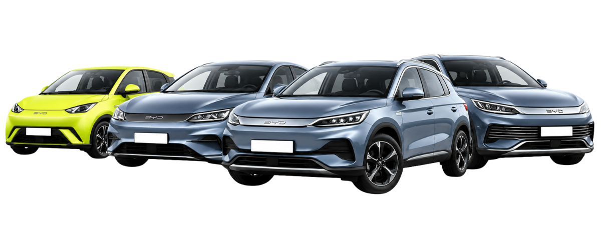 Flota de Vehículos Electriauto